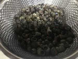 江苏省百白破疫苗问题:安全有效,值得接种吗?