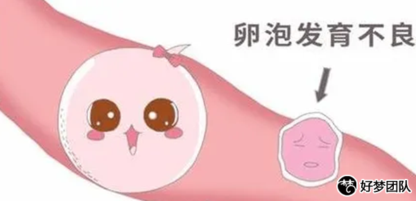三代试管机构,代孕哪里找