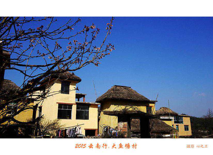 地中海贫血:疾病的全面解析与严重性探讨