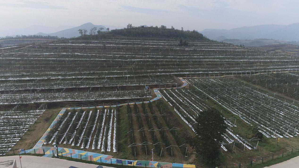 新生儿频繁打嗝的成因与对策