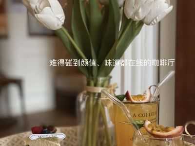半至3岁半的宝宝游戏指南:与家长共度快乐时光