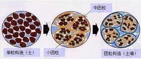 处理新生儿脐炎的方法及注意事项