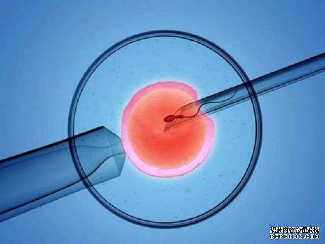广州皇家试管国际_添悦助孕在哪_试管婴儿胚胎着床成功,如何判断是男是女?