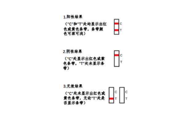 北京301医院试管婴儿流程 北京协和医院供卵试管的流程都有什么? ‘女宝宝b超也有两个蛋蛋一样’