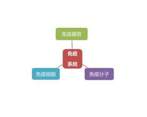 江门试管婴儿一代、二代、三代，哪个更容易成功？