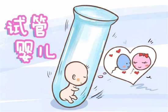 为什么医生推荐先移植鲜胚？成功率优势全解析
