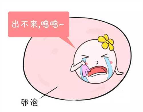 高龄试管成功率为何偏低？关键影响因素解析