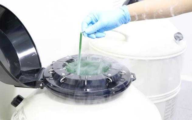 揭秘试管移植胚胎全程：每一步都是关键，麻药需求你真的懂吗？
