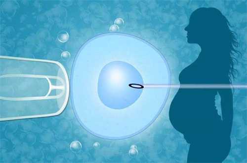 别只看细胞数！6细胞和10细胞胚胎移植，哪种更容易着床？