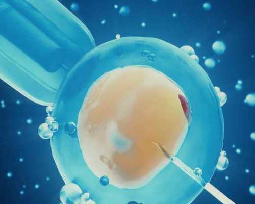 试管受精:供卵试管与普通试管的区别是什么?